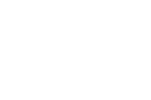 GlobalStar